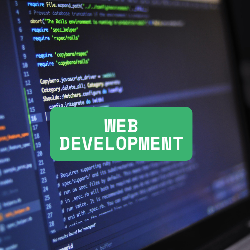 web development